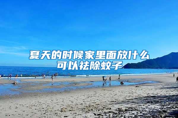 夏天的時候家里面放什么可以祛除蚊子