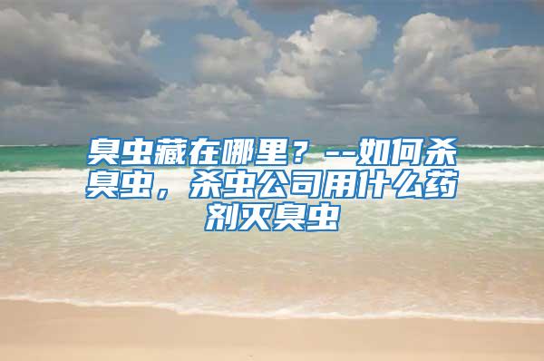 臭蟲藏在哪里？--如何殺臭蟲，殺蟲公司用什么藥劑滅臭蟲