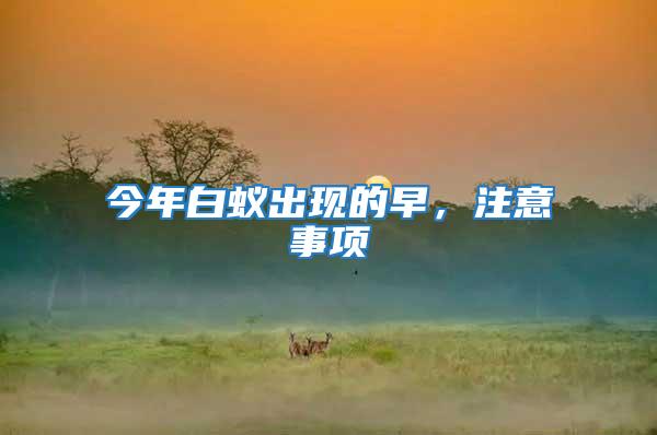 今年白蟻出現(xiàn)的早，注意事項