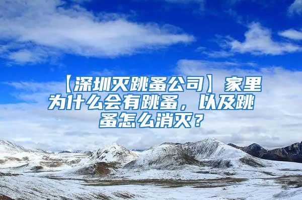 【深圳滅跳蚤公司】家里為什么會有跳蚤，以及跳蚤怎么消滅？