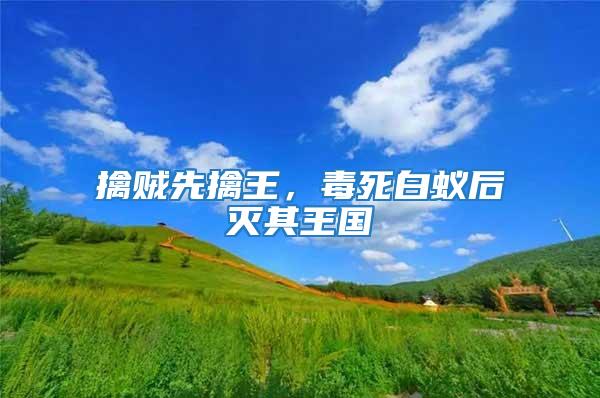擒賊先擒王，毒死白蟻后滅其王國