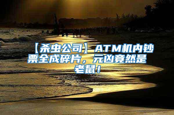 【殺蟲公司】ATM機內(nèi)鈔票全成碎片，元兇竟然是老鼠！