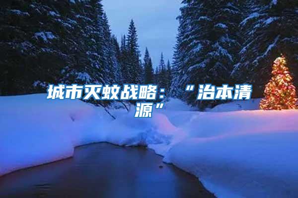 城市滅蚊戰略：“治本清源”