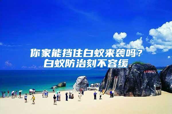 你家能擋住白蟻來襲嗎？白蟻防治刻不容緩