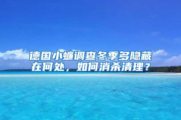 德國小蠊調查冬季多隱藏在何處，如何消殺清理？