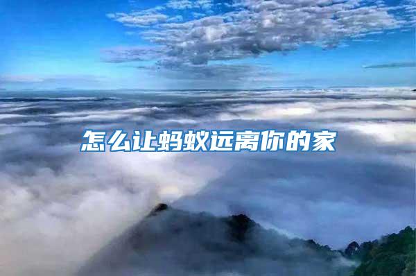 怎么讓螞蟻遠離你的家