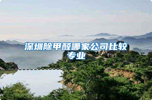 深圳除甲醛哪家公司比較專業