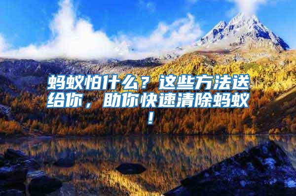 螞蟻怕什么？這些方法送給你，助你快速清除螞蟻！