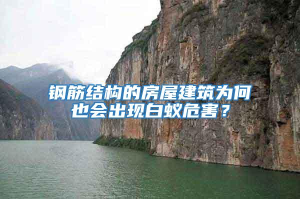 鋼筋結(jié)構(gòu)的房屋建筑為何也會(huì)出現(xiàn)白蟻危害？