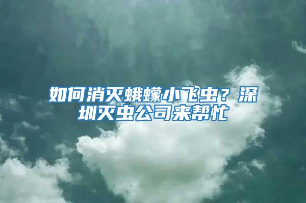 如何消滅蛾蠓小飛蟲？深圳滅蟲公司來幫忙
