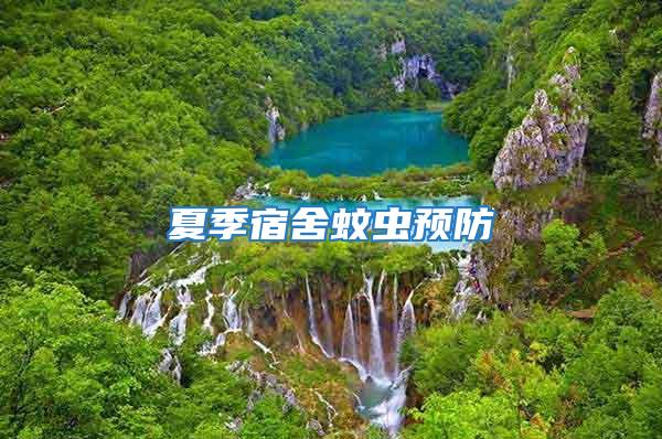 夏季宿舍蚊蟲預防