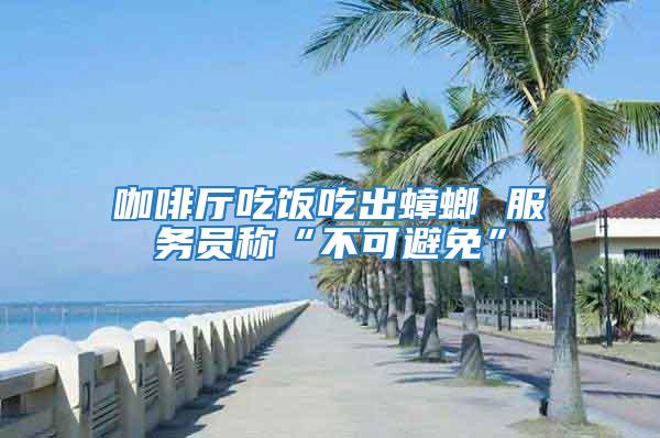 咖啡廳吃飯吃出蟑螂 服務員稱“不可避免”