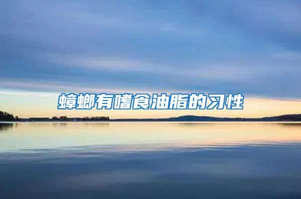 蟑螂有嗜食油脂的習性