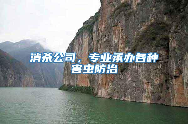 消殺公司，專業承辦各種害蟲防治