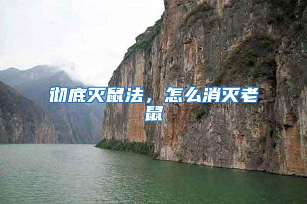 徹底滅鼠法，怎么消滅老鼠