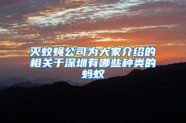滅蚊蠅公司為大家介紹的相關于深圳有哪些種類的螞蟻