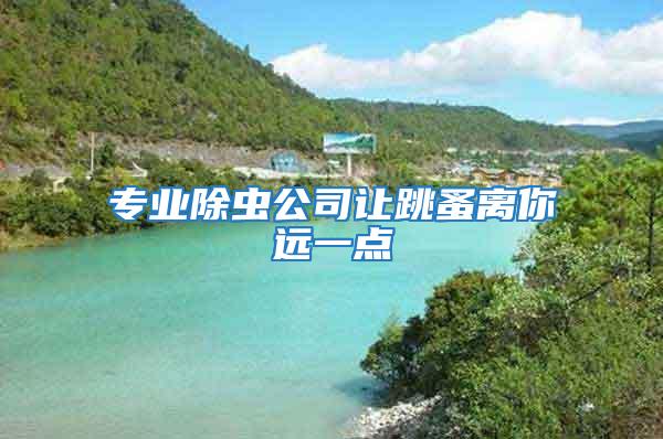 專業除蟲公司讓跳蚤離你遠一點