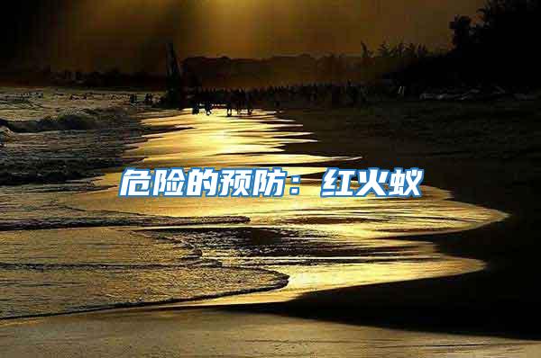 危險的預防：紅火蟻