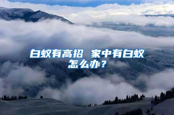 白蟻有高招 家中有白蟻怎么辦？