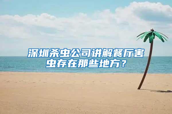 深圳殺蟲公司講解餐廳害蟲存在那些地方？