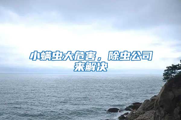 小螨蟲大危害，除蟲公司來(lái)解決