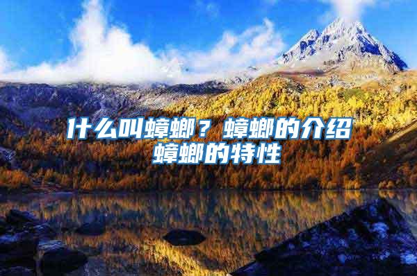 什么叫蟑螂？蟑螂的介紹 蟑螂的特性