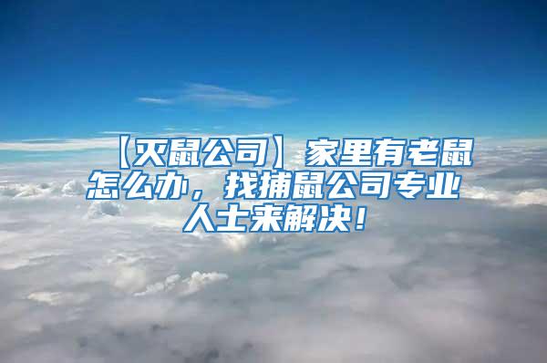 【滅鼠公司】家里有老鼠怎么辦，找捕鼠公司專業人士來解決！