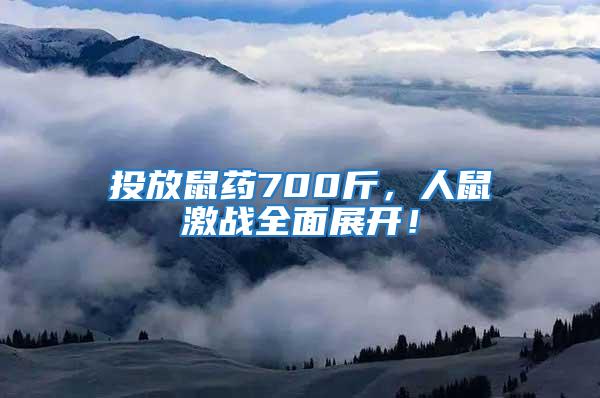 投放鼠藥700斤，人鼠激戰全面展開！