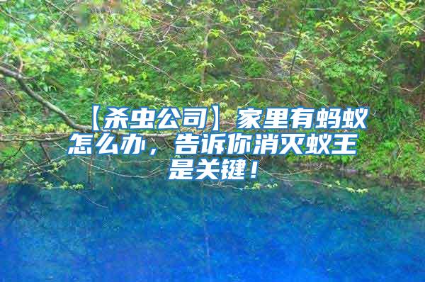 【殺蟲公司】家里有螞蟻怎么辦，告訴你消滅蟻王是關鍵！