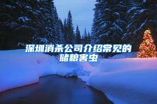 深圳消殺公司介紹常見的儲糧害蟲