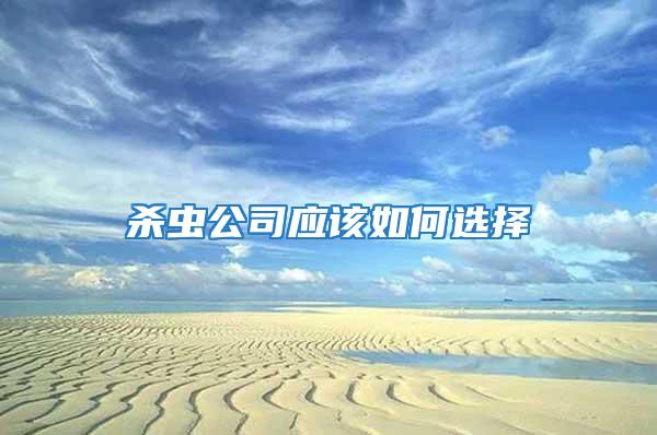 殺蟲公司應該如何選擇