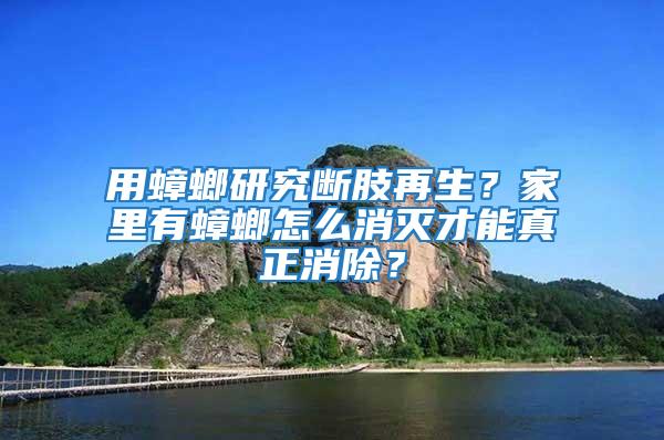 用蟑螂研究斷肢再生？家里有蟑螂怎么消滅才能真正消除？