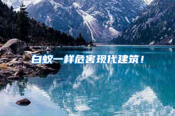 白蟻一樣危害現代建筑！