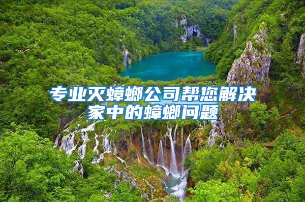 專業滅蟑螂公司幫您解決家中的蟑螂問題