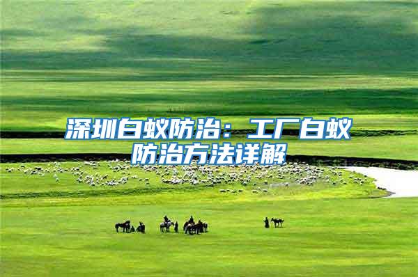 深圳白蟻防治：工廠白蟻防治方法詳解