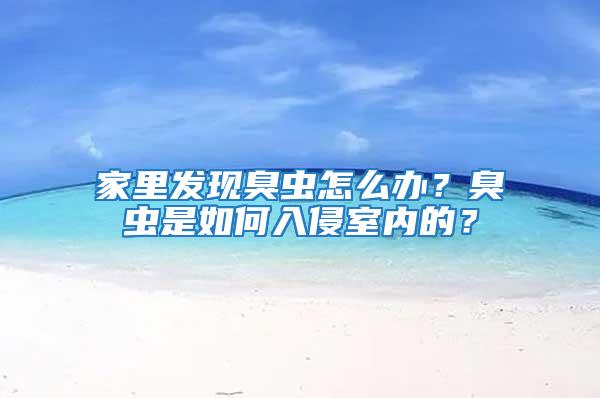 家里發現臭蟲怎么辦？臭蟲是如何入侵室內的？