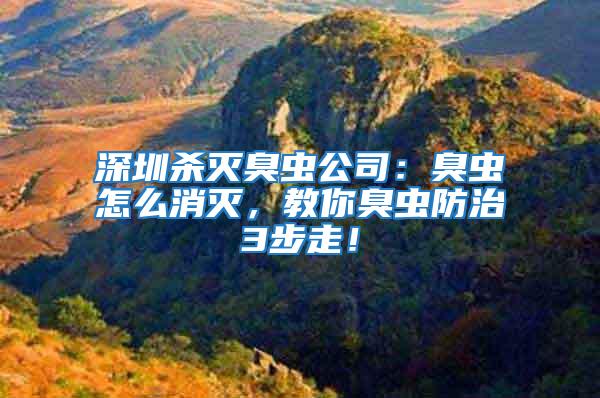 深圳殺滅臭蟲公司：臭蟲怎么消滅，教你臭蟲防治3步走！