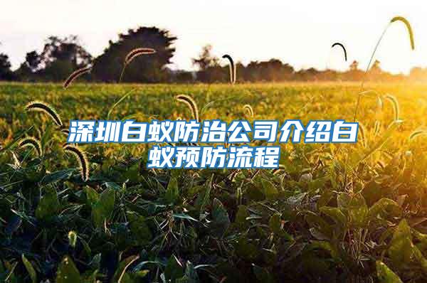 深圳白蟻防治公司介紹白蟻預防流程