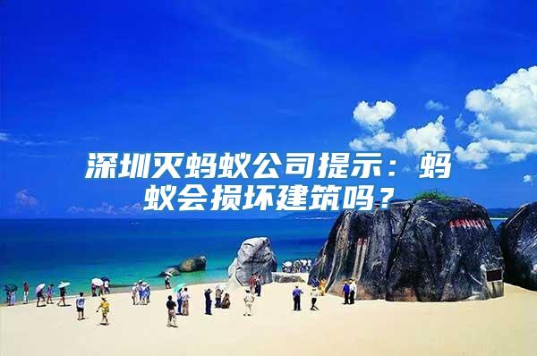 深圳滅螞蟻公司提示：螞蟻會損壞建筑嗎？