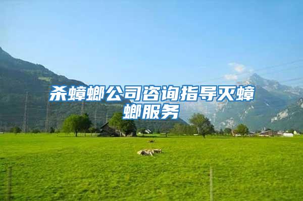 殺蟑螂公司咨詢指導滅蟑螂服務