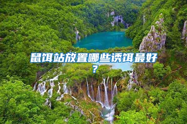 鼠餌站放置哪些誘餌最好？