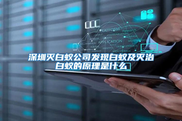 深圳滅白蟻公司發現白蟻及滅治白蟻的原理是什么