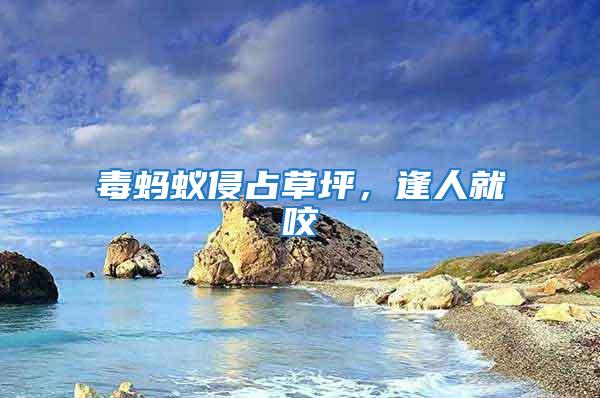 毒螞蟻侵占草坪，逢人就咬