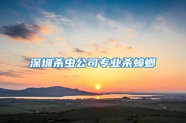 深圳殺蟲公司專業殺蟑螂