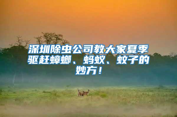 深圳除蟲公司教大家夏季驅趕蟑螂、螞蟻、蚊子的妙方！