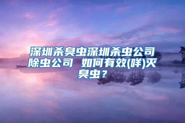 深圳殺臭蟲(chóng)深圳殺蟲(chóng)公司除蟲(chóng)公司 如何有效(咩)滅臭蟲(chóng)？