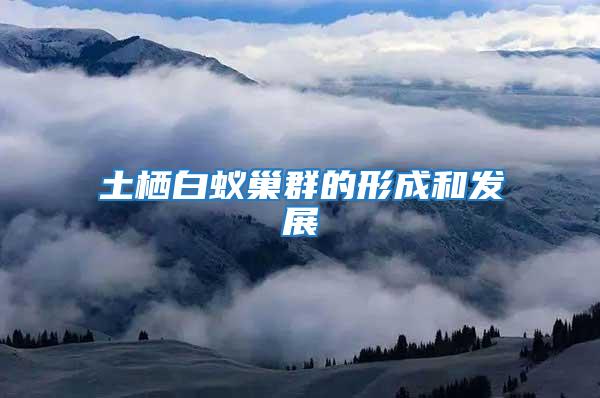 土棲白蟻巢群的形成和發展