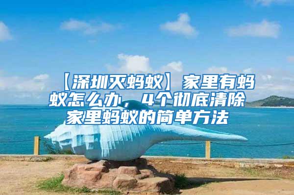 【深圳滅螞蟻】家里有螞蟻怎么辦，4個徹底清除家里螞蟻的簡單方法