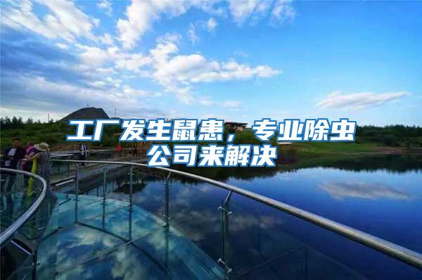 工廠發(fā)生鼠患，專業(yè)除蟲公司來解決