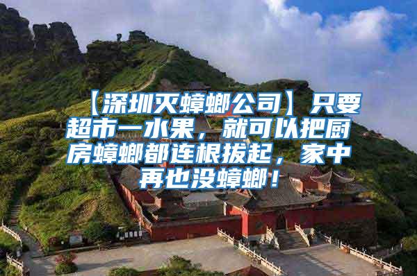 【深圳滅蟑螂公司】只要超市一水果，就可以把廚房蟑螂都連根拔起，家中再也沒蟑螂！